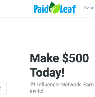 Is Paid Leaf A Scam – You Better Look Out!