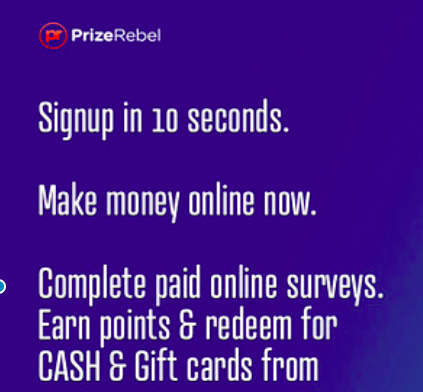 What Is Prize Rebel – Can You Make Money With This?