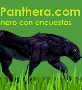 What Is Green Panthera – Big Bucks Or Waist Of Time?