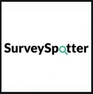 Survey Spotter Review – Can You Make Money With This?