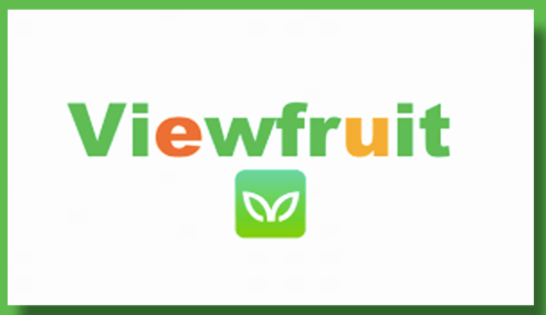 What Is ViewFruit - Can You Make Big Money Here?